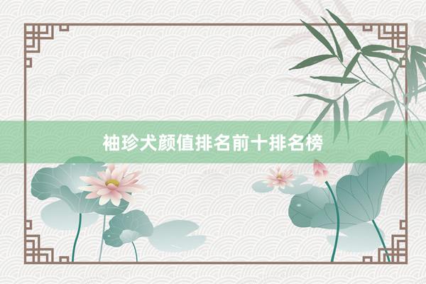 袖珍犬颜值排名前十排名榜